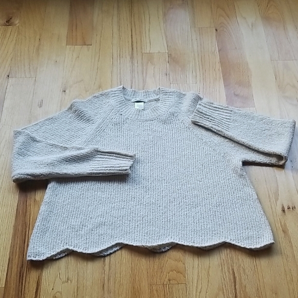 Cotton Emporium Tops - Top - NWOT